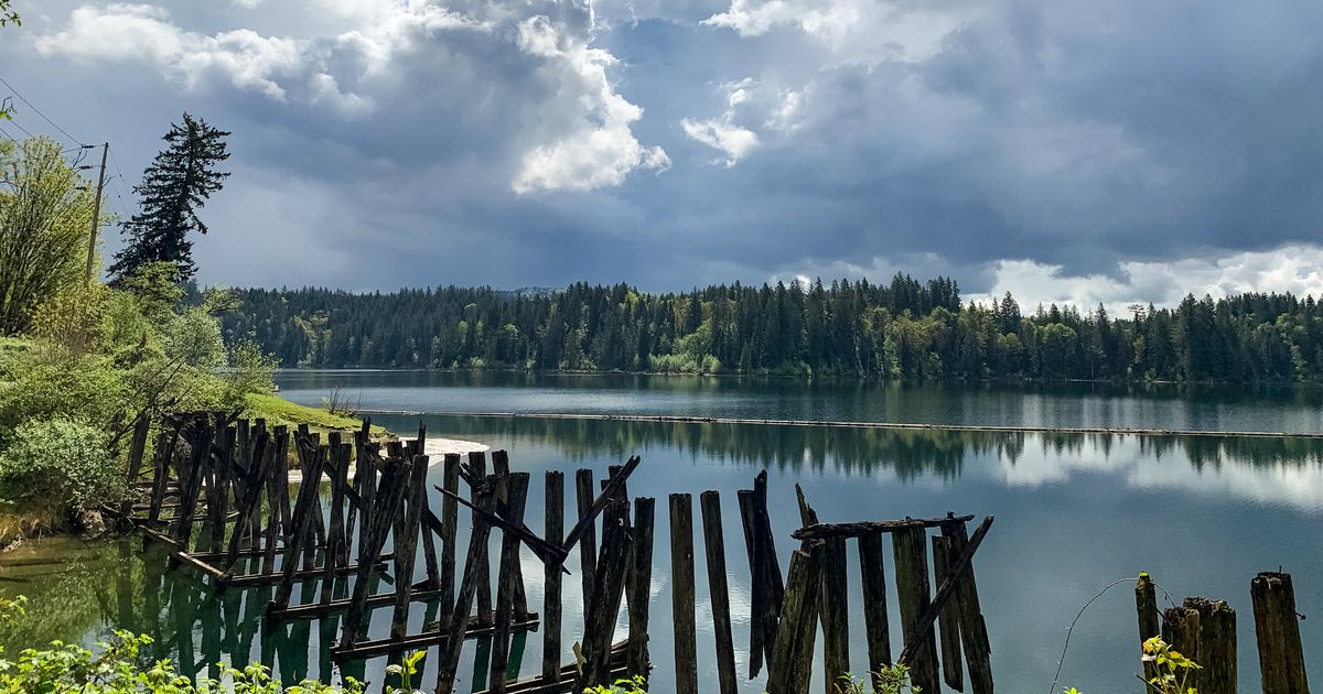 Hayward Lake Trail Guide Mission, British Columbia 10Adventures