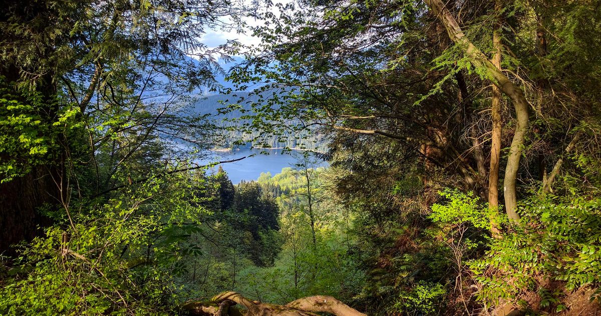 Burnaby Mountain Park Hike Burnaby, British Columbia 10Adventures