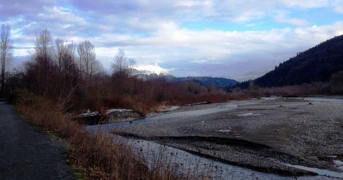 Vedder River Loop Long Riverside Hike near Chilliwack 10Adventures