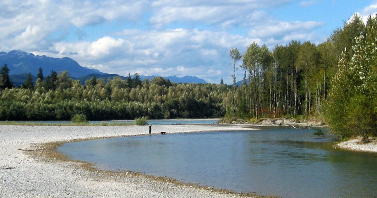 Mamquam River Trail Guide Squamish, BC 10Adventures