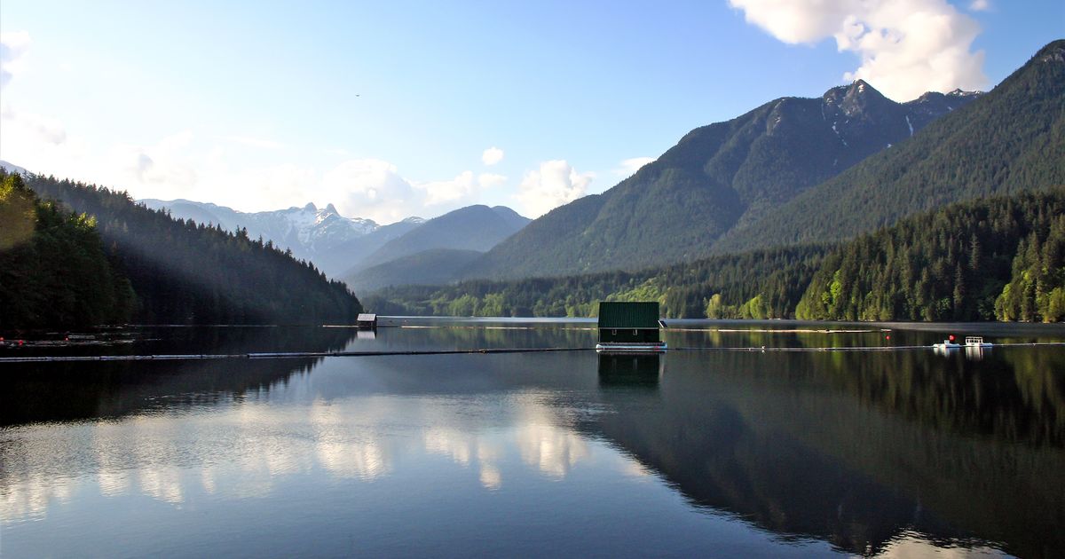 Capilano River Loop A Canyon Hike in The North Shore 10Adventures