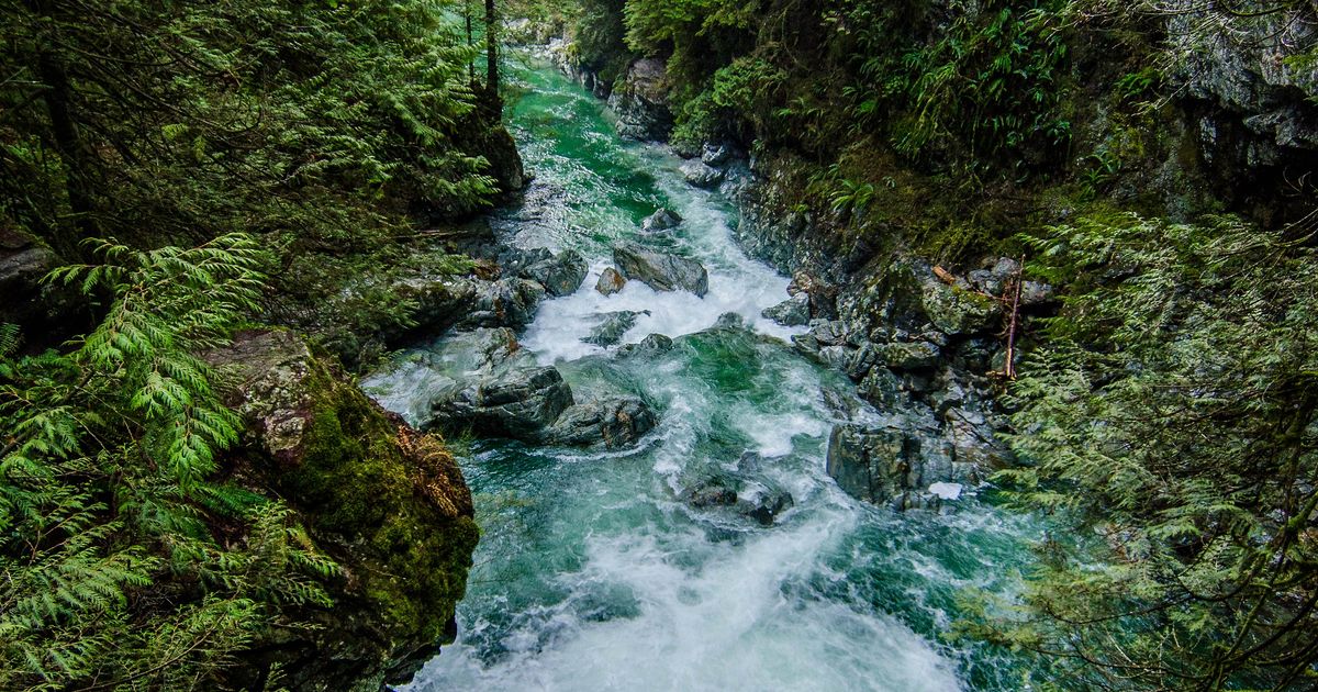Twin Falls Loop Suspension Bridge - CAN BC TheNorthShore TwinFallsLoop 01 2560x1444 MobileHeader River Flowing From Twin Falls Hiking Around Vancouver BC 1200x630 