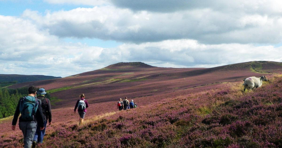 Win Hill Walk Experience the Charming Peak District 10Adventures