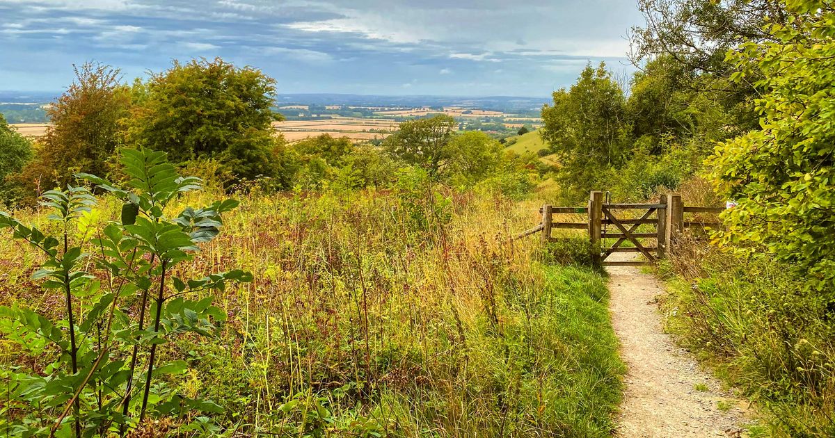 A Guide To Ibstone and Stokenchurch Loop in the Chilterns 10Adventures