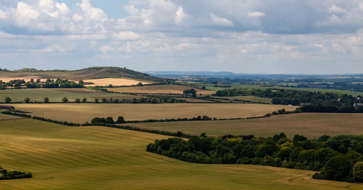 A Guide to Dunstable Downs Circular Walk in the Chilterns 10Adventures