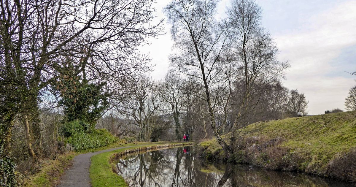 Peak Forest Canal MarpleWhaley Bridge Scenic Canal Walk 10Adventures