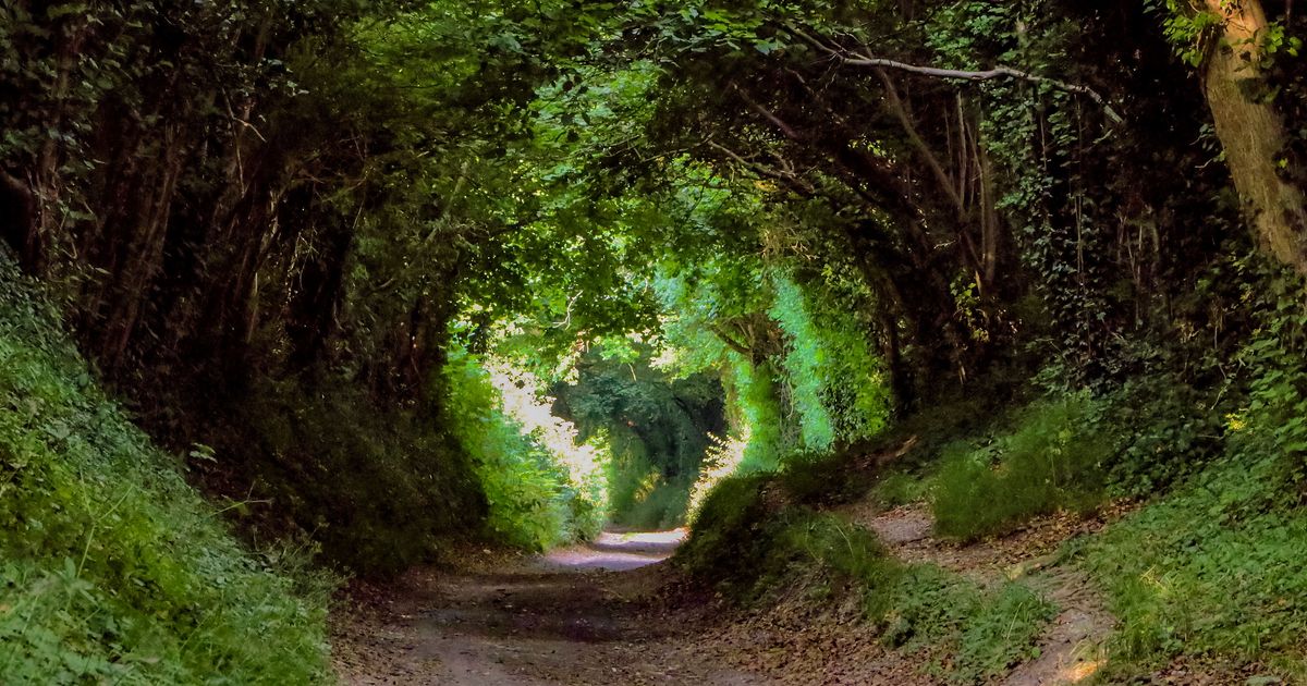 Halnaker Circular Walk A 6.4km Loop in South Downs NP 10Adventures