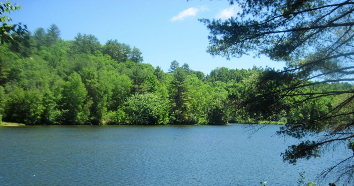 Piney Point Loop Explore Beauvais Lake Provincial Park 10Adventures
