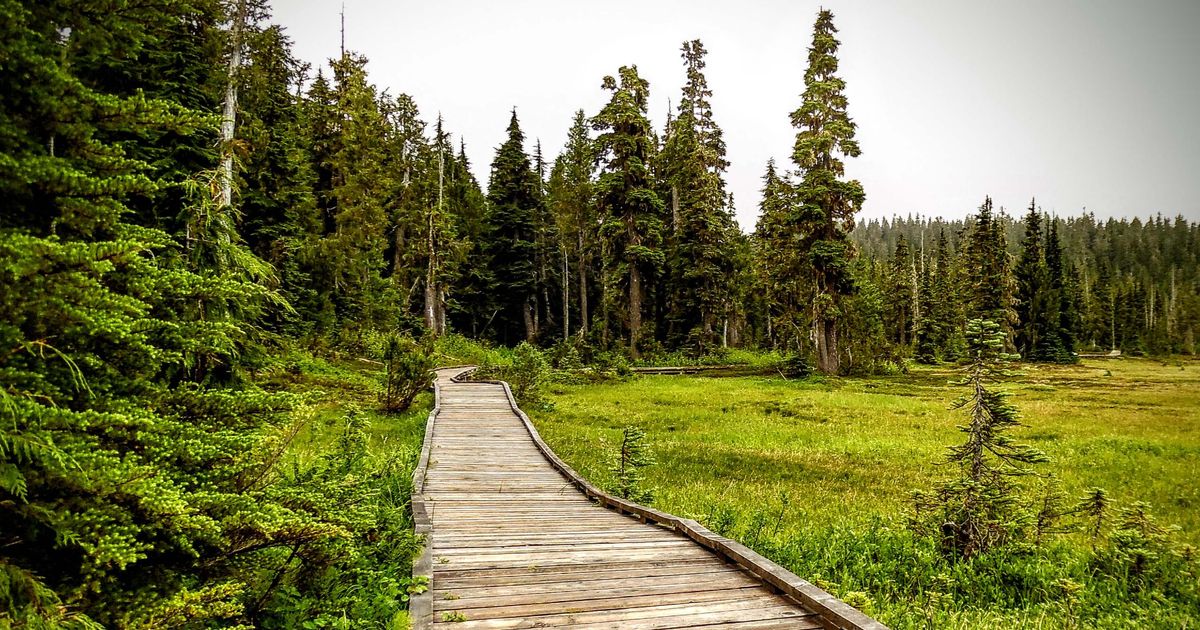 Paradise Meadows Trail A Fun Hike Around Tranquil Lakes 10Adventures