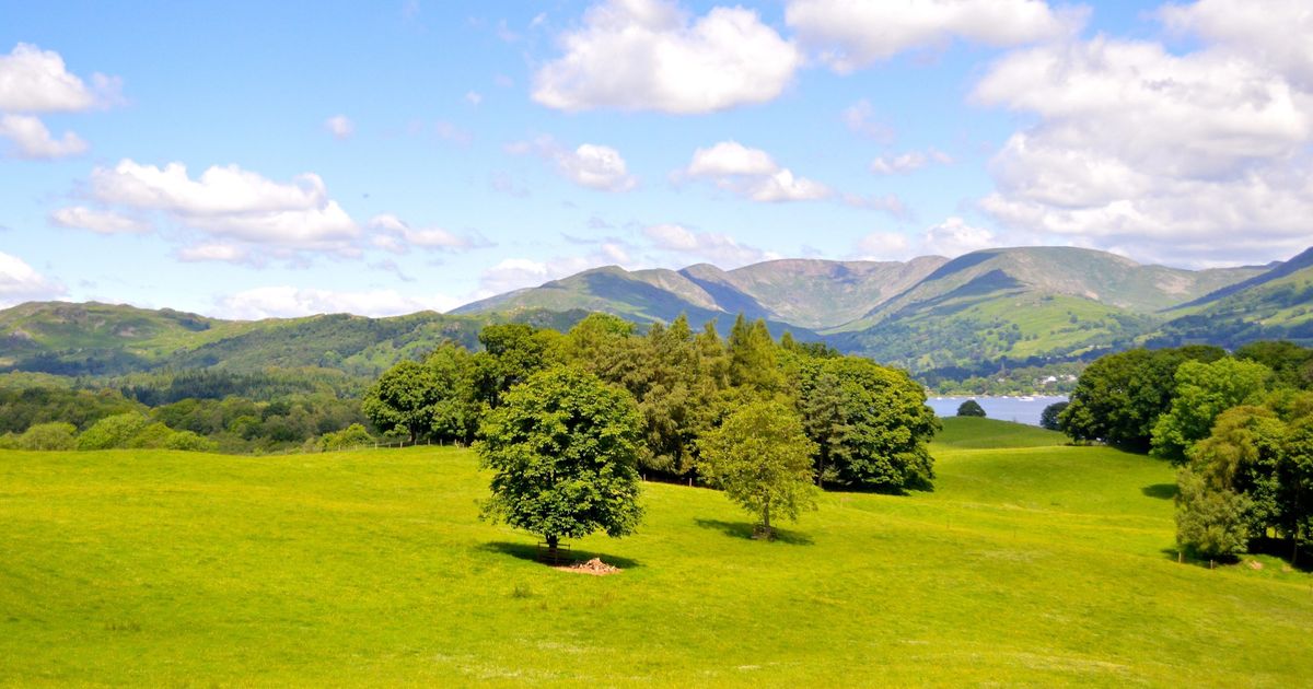 Wray Castle to Ferry House Walk the Shores of Windermere 10Adventures