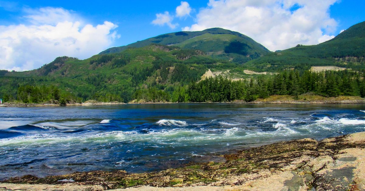 Skookumchuck Narrows Trail Discover Tidal Whirlpools in BC 10Adventures