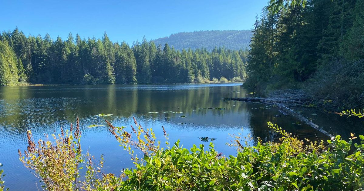 Heart Lake Loop Trail Visit a Hilltop Lake Above Ladysmith 10Adventures