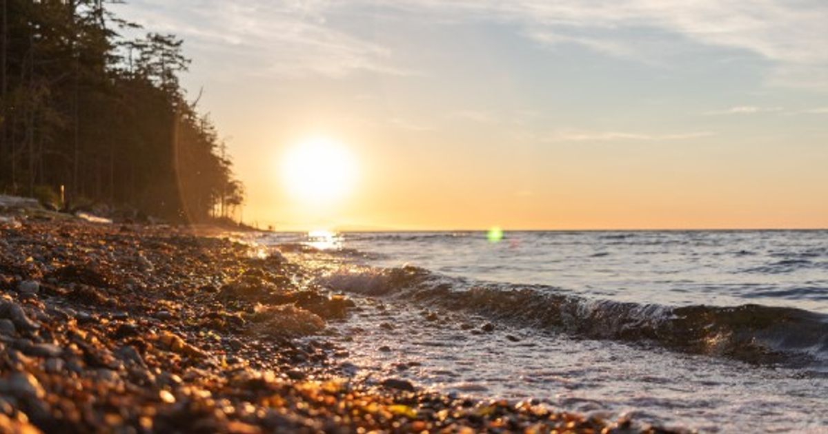 The Best Hiking Routes in Courtenay and the Comox Valley 10Adventures