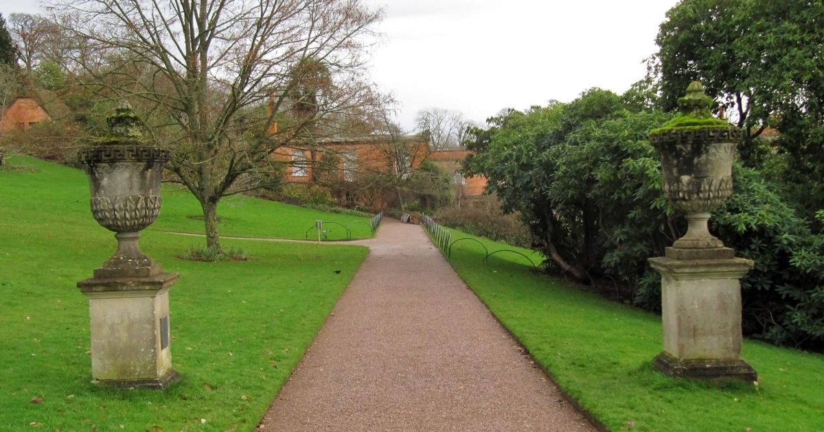 Killerton Park Walk Explore the Killerton Estate Grounds 10Adventures