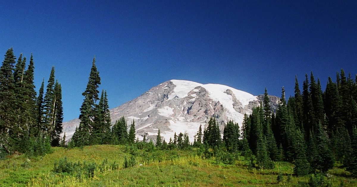 Hike the Alta Vista Trail in Mount Rainier National Park 10Adventures