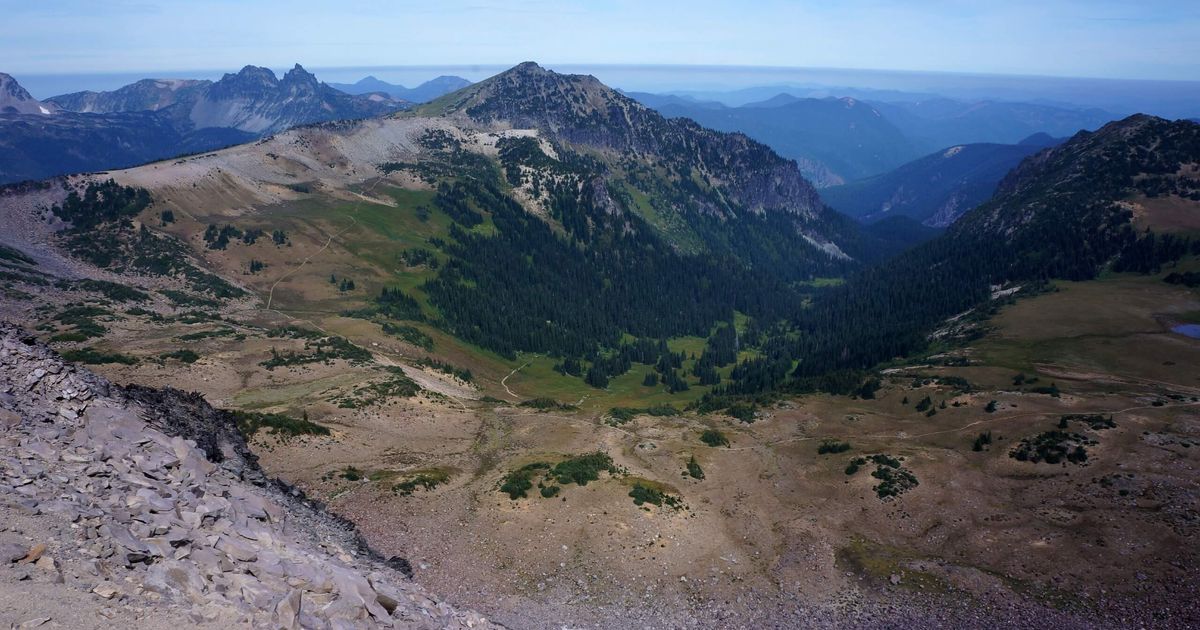 WildflowerFilled Hike to Berkeley Park Route Guide 10Adventures