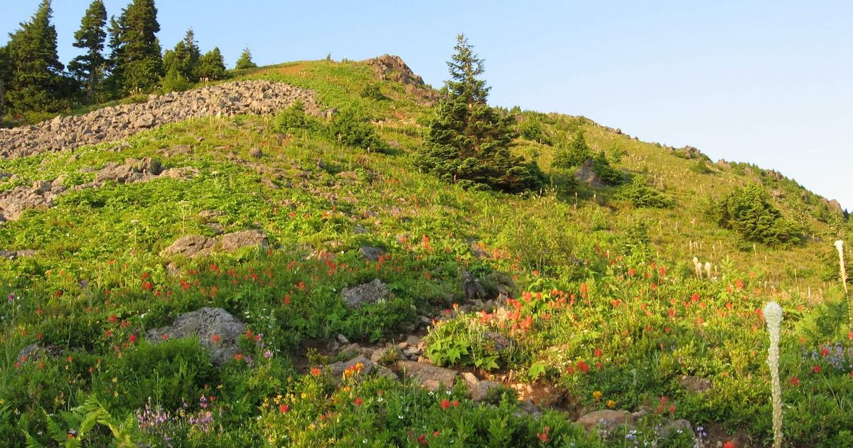 Mailbox Peak Trail Old and New Loop Route Guide 10Adventures