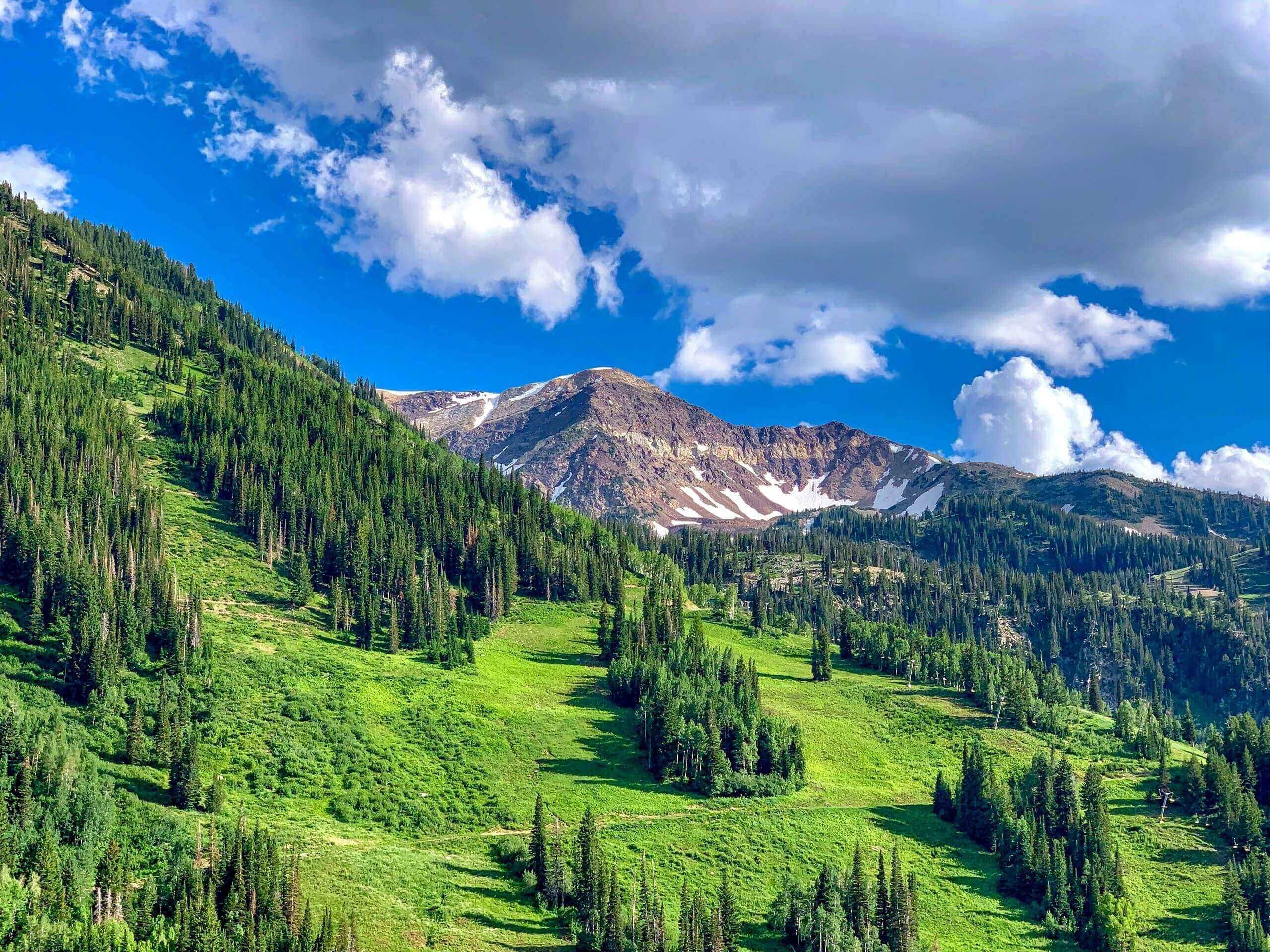 Wasatch Mountain State Park Utah summer hiking