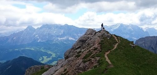 Tips For Hiking and Camping With Your Dog