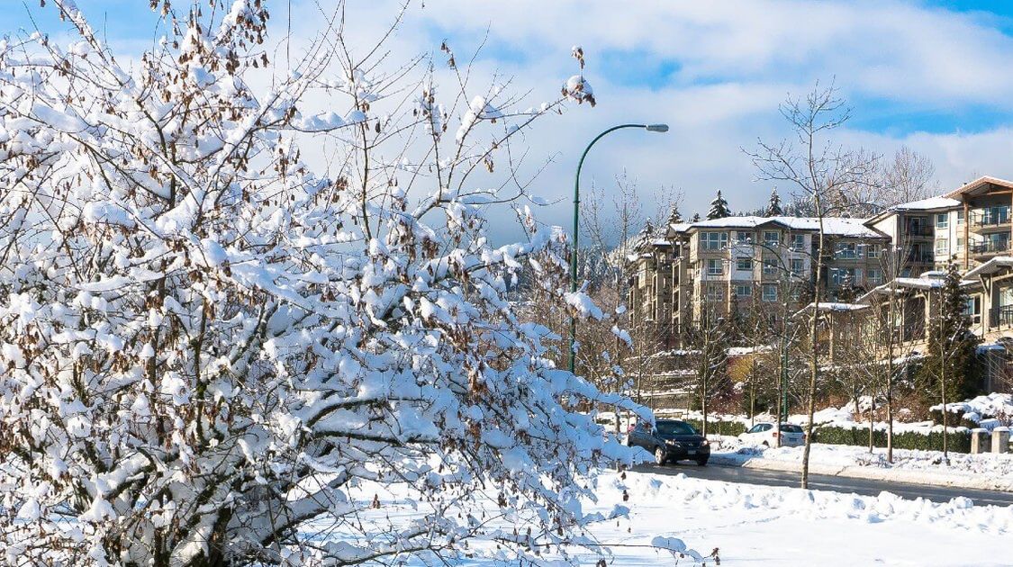 Life is Movable: Making the Move from a City to a Small Town