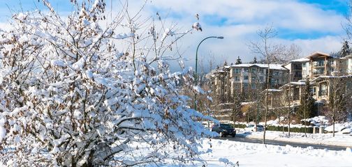 Life is Movable: Making the Move from a City to a Small Town
