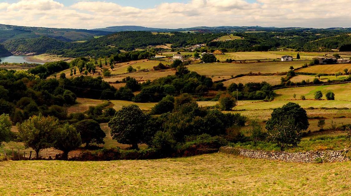 How to Prepare for the Camino de Santiago