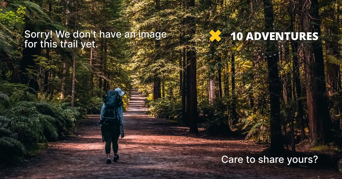 A Guide to the Triangle Mountain Hike - 10Adventures