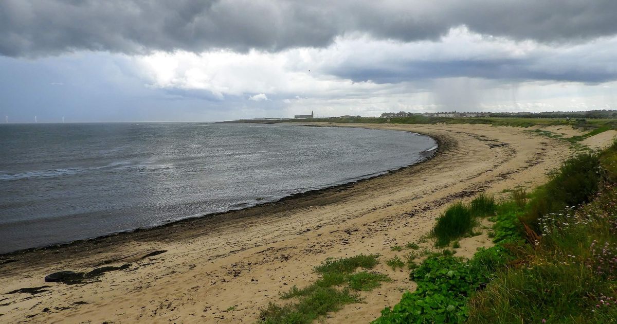 Amble to Newbiggin Coastal Walk Views of the North Sea 10Adventures