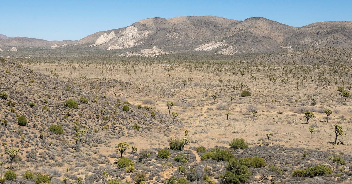 Stunning Quail Mountain via Juniper Flats Trail, California 10Adventures