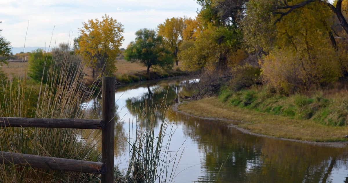 A Guide to the Cache La Poudre - US CO RMNP Cache La Poudre River Trail 2560 1444 1200x630 