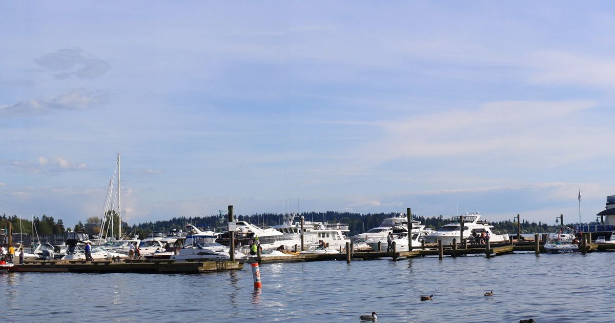 Explore the Kirkland Waterfront Trail Nature Walk in WA 10Adventures