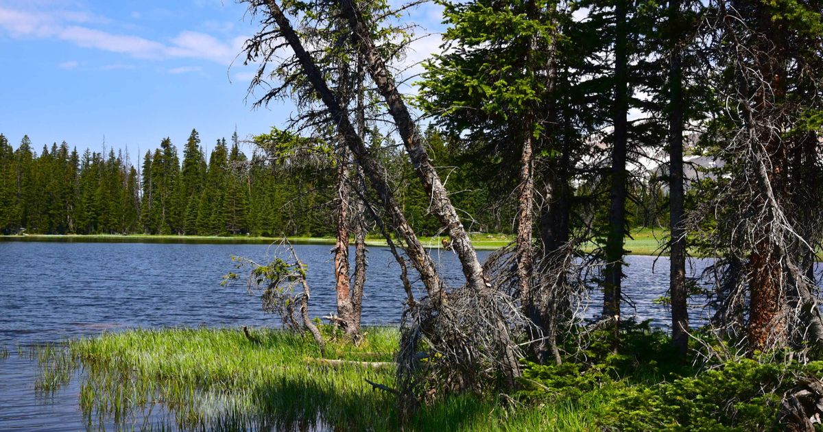 Copley Lake via Gunsight Pass Trail 585 Elk Mountains 10Adventures