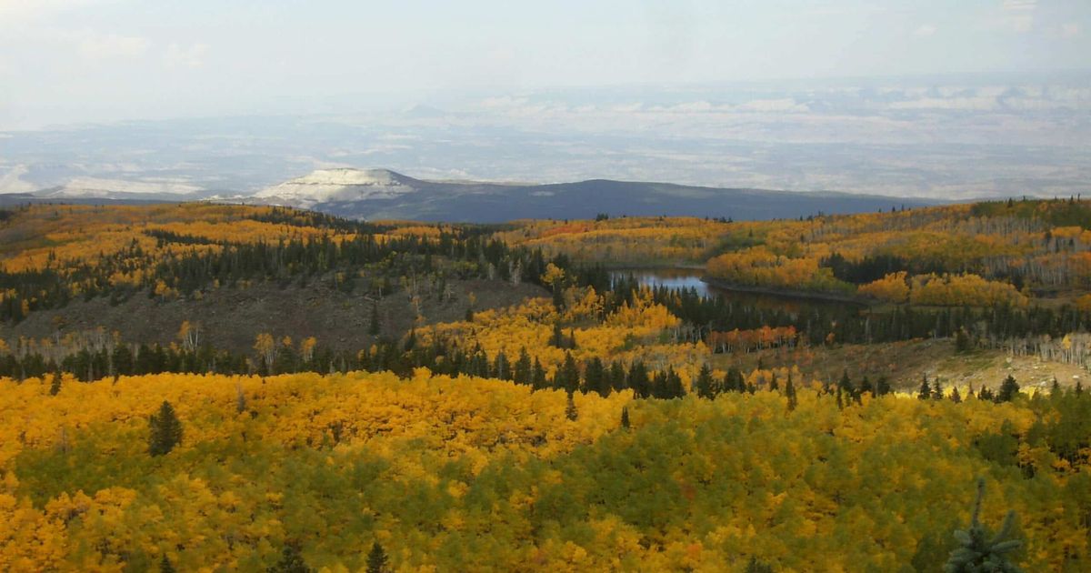 Lost Lake and Mesa Lakes Hike A Fun Waterside Trail 10Adventures