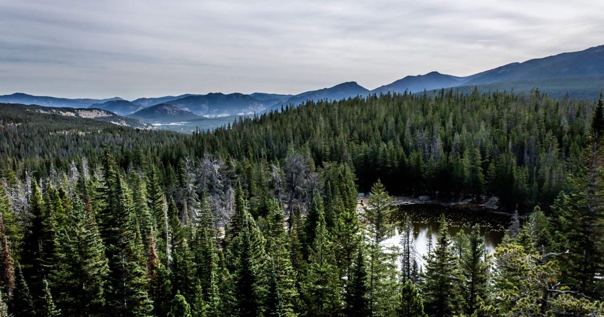 Duck Lake Trail Scenic Forests, Meadows, and Lakes 10Adventures