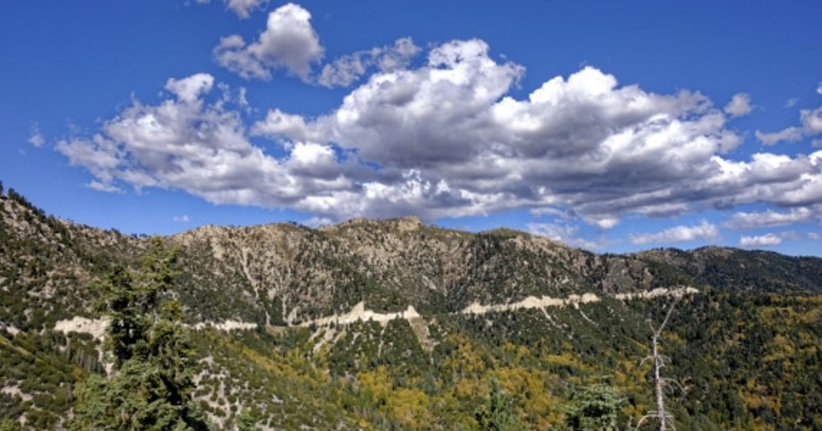 Fun Hikes in San Bernardino National Forest 10Adventures