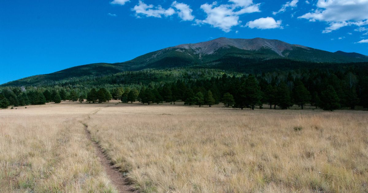 Bismarck Lake Trail Route Guide Coconino National Forest 10Adventures