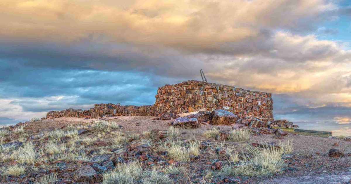 Long Logs & Agate House Loop Petrified Forest National Park 10Adventures