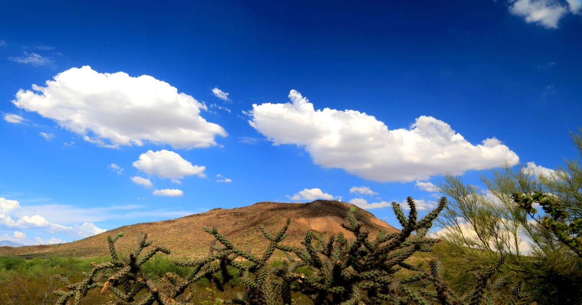 Hiking the Tumamoc Hill in Tucson Beautiful City Views 10Adventures