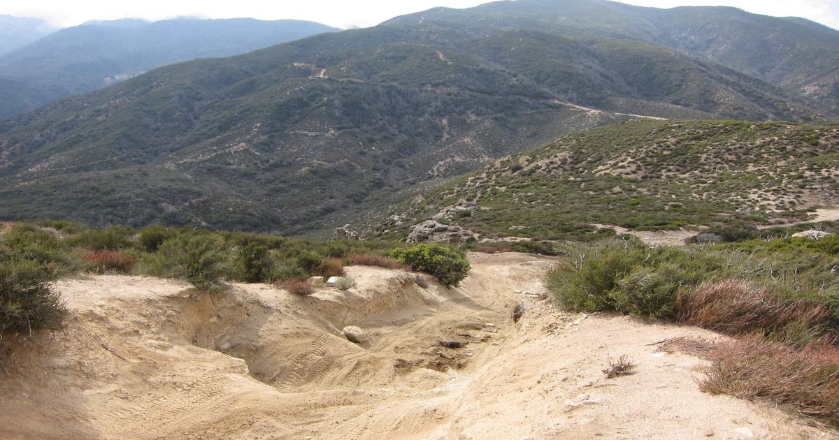 Cleghorn Mountain Trail OffRoad Vehicle Route With Views 10Adventures