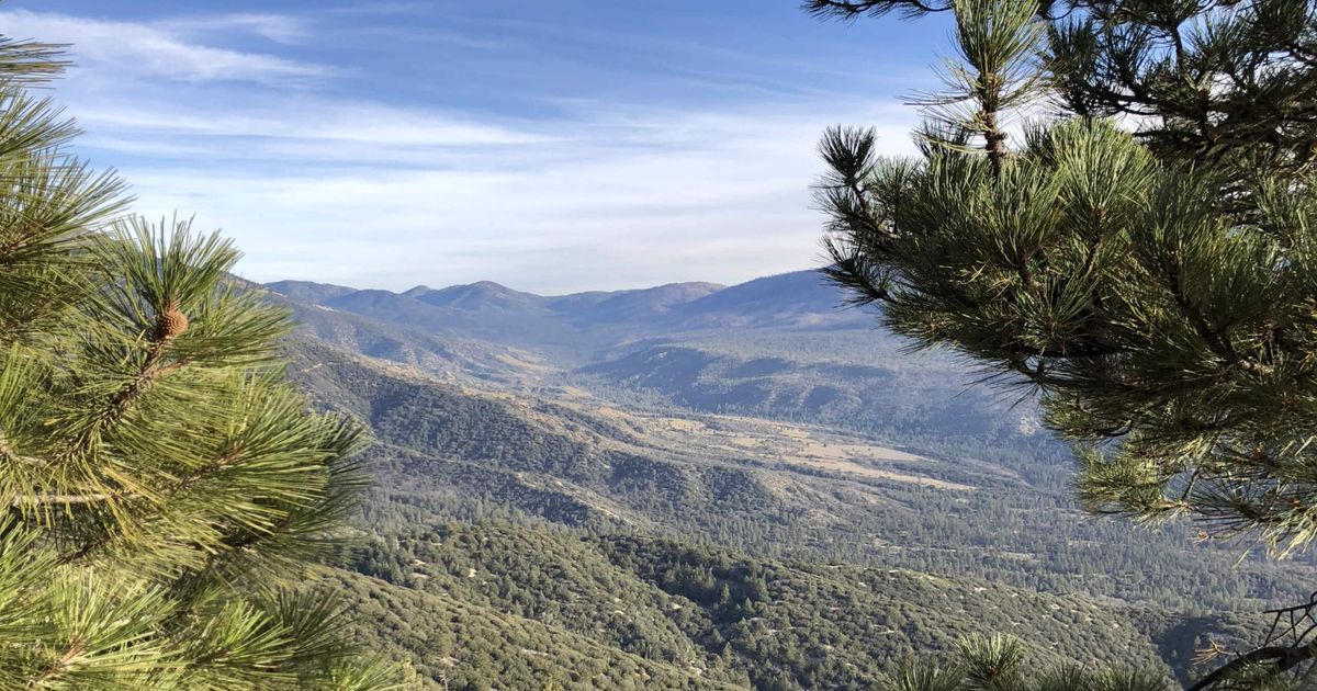 Pine Knoll and Skyline Ridge Loop Santa Ana River Views 10Adventures