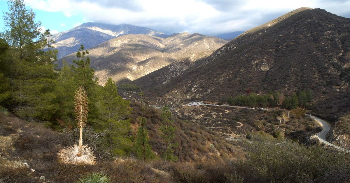 Shoemaker Canyon Road Hike Explore a Road to Nowhere 10Adventures
