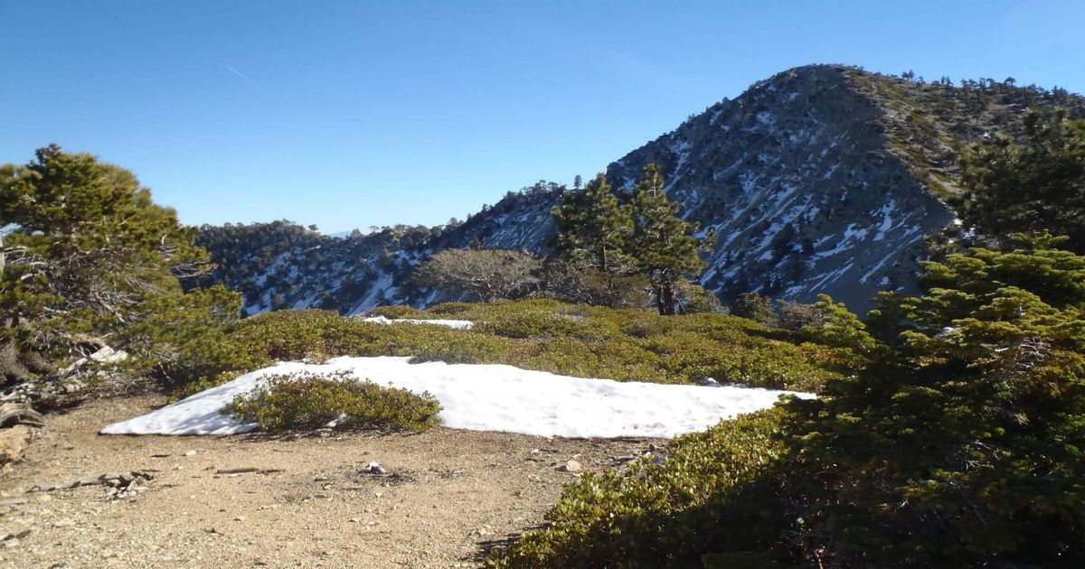 The Telegraph Peak via Manker Flats Hike 10Adventures