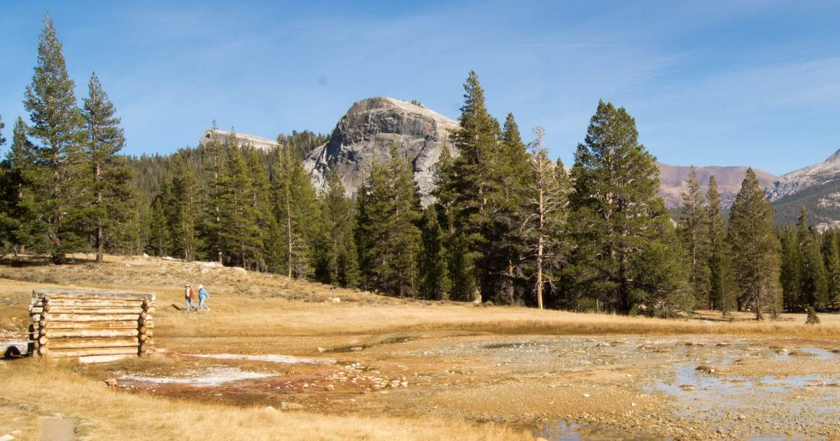 Soda Springs and Parsons Lodge Trail 10Adventures