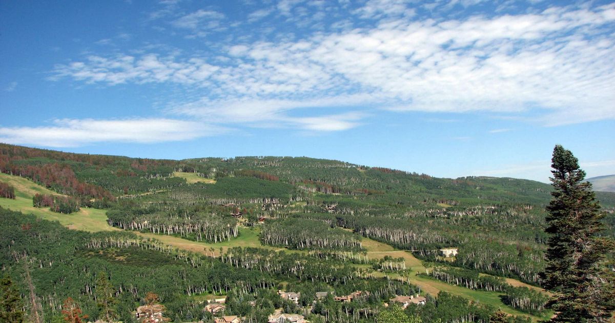The Beaver Creek Overlook Trail Sawatch Mountain Range 10Adventures