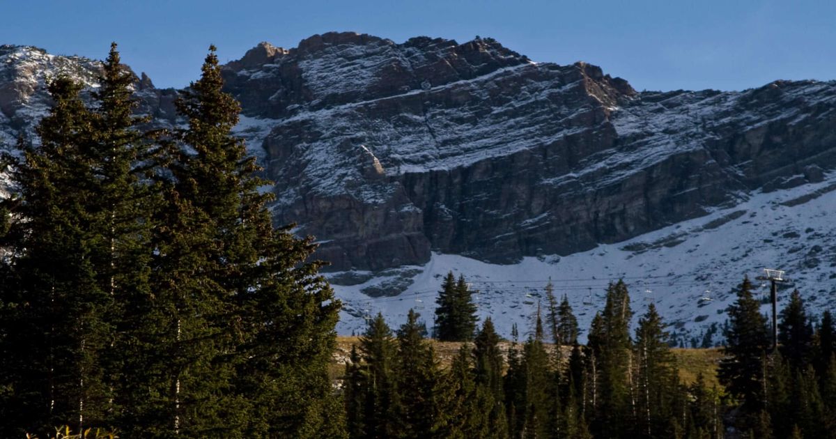 The Albion Meadows Trail Family Friendly Hiking in Utah 10Adventures