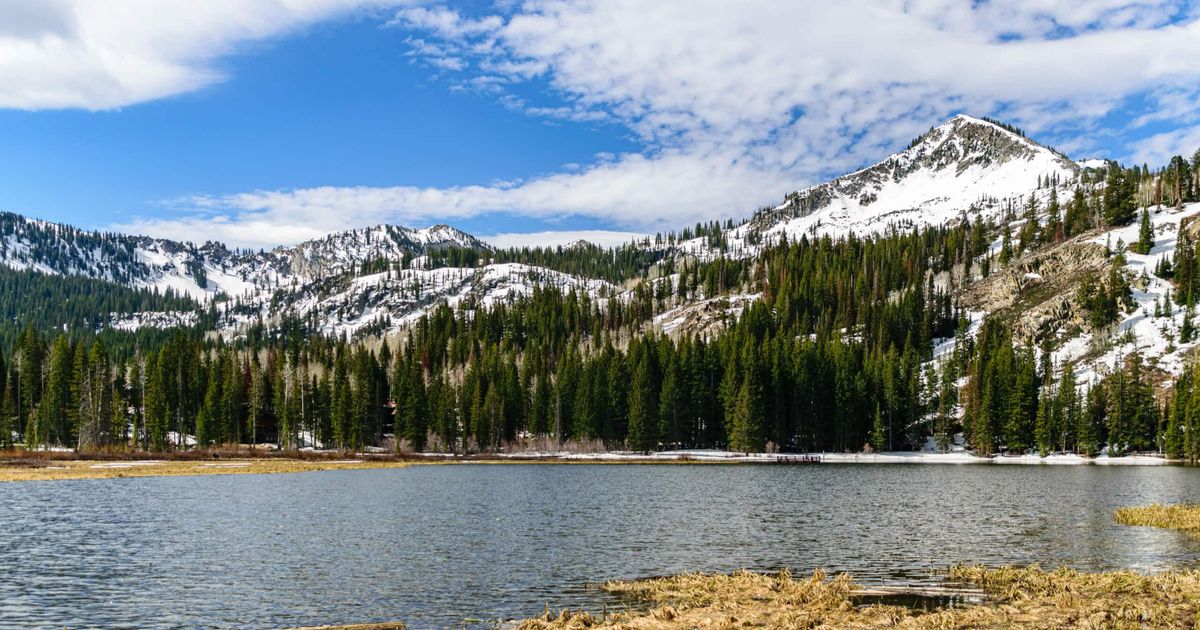 The Brighton Lakes Loop Hike in the UintaWasatch Forest 10Adventures