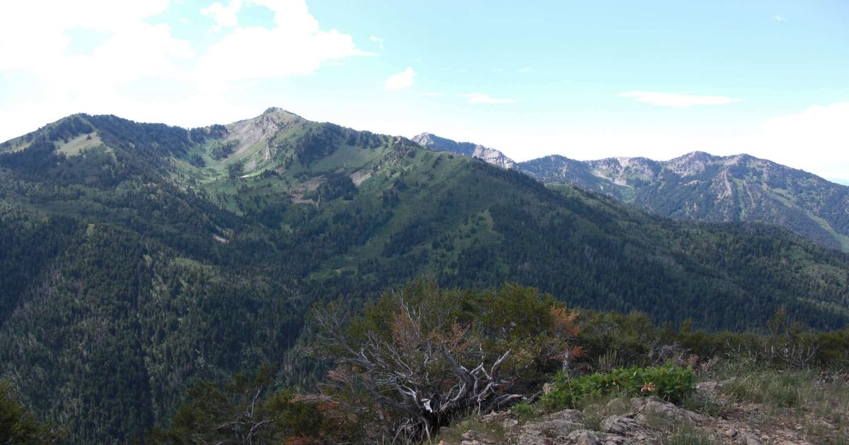 Gobblers Knob via Alexander Basin A 10Adventures Guide 10Adventures