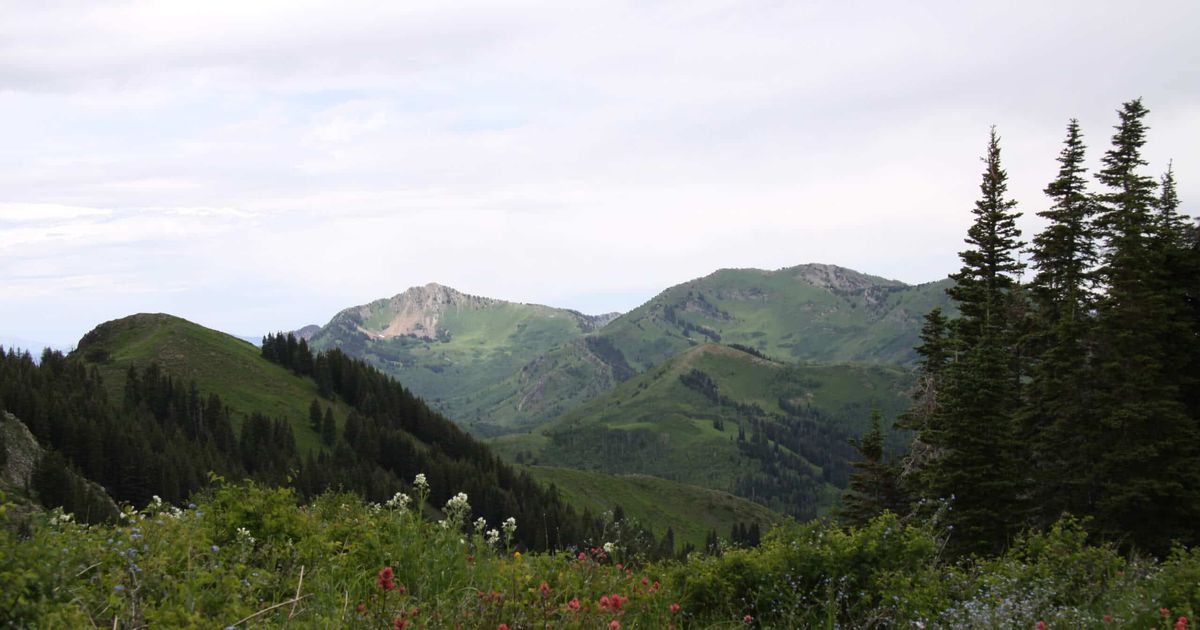 The Gobblers Knob via Butler Fork Trail Hiking in Utah 10Adventures