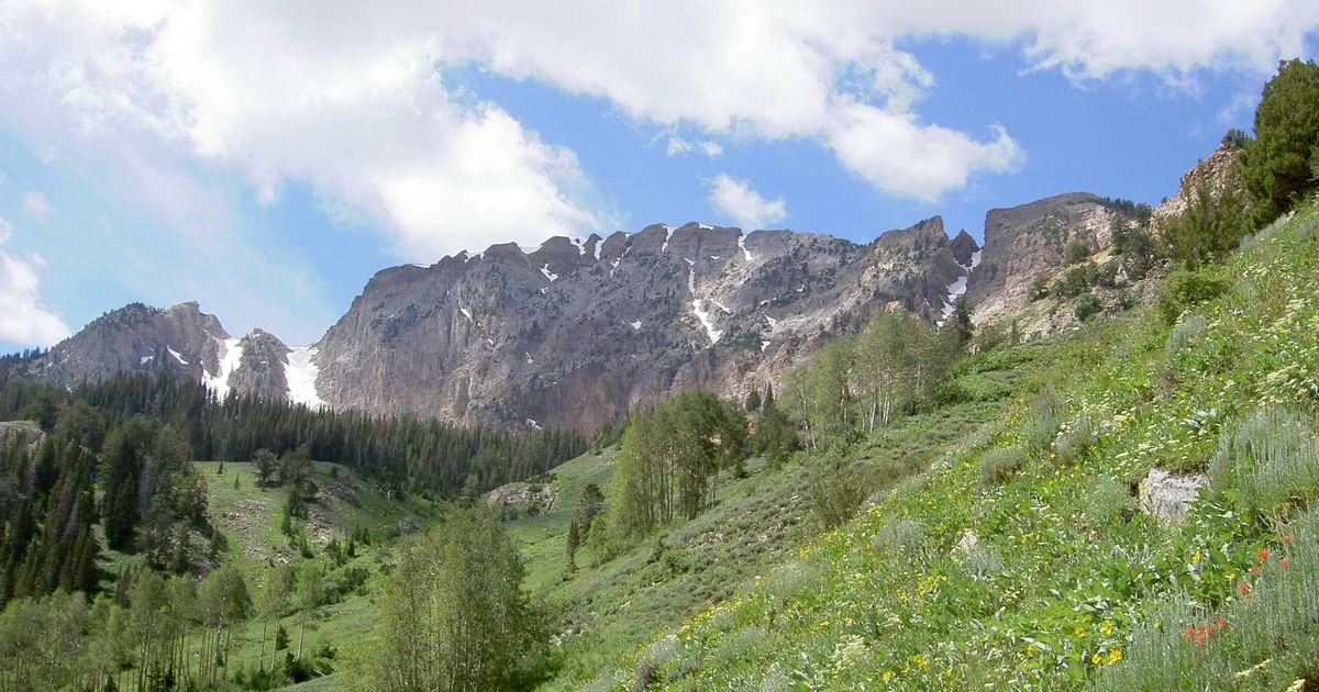 South Willow Lake via The Stansbury Crest Hiking Trail 10Adventures