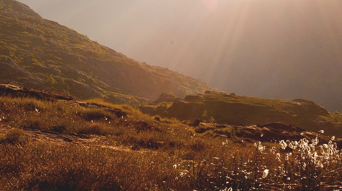 Backpacking 101: How To Plan For Your Trip